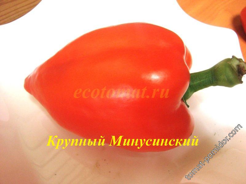 Крупный Минусинский