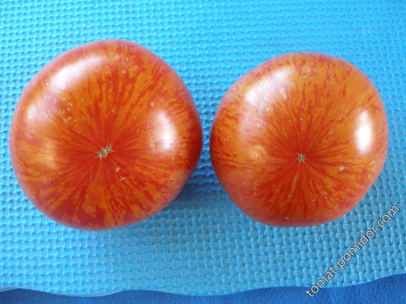 Солнечная вспышка (Solar Flare) - С — сорта томатов - tomat-pomidor.com -отзывы на форуме
