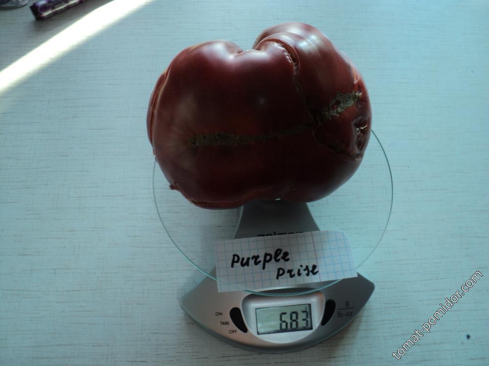 Purple Prise