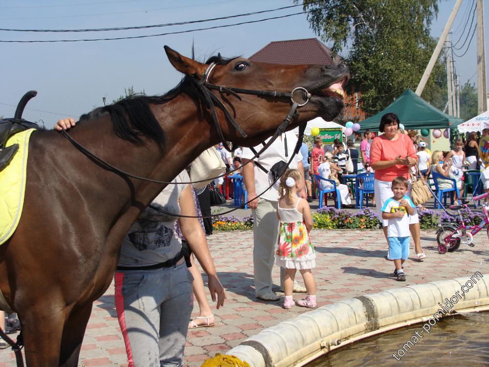 Неделя ПОЗИТИФФ