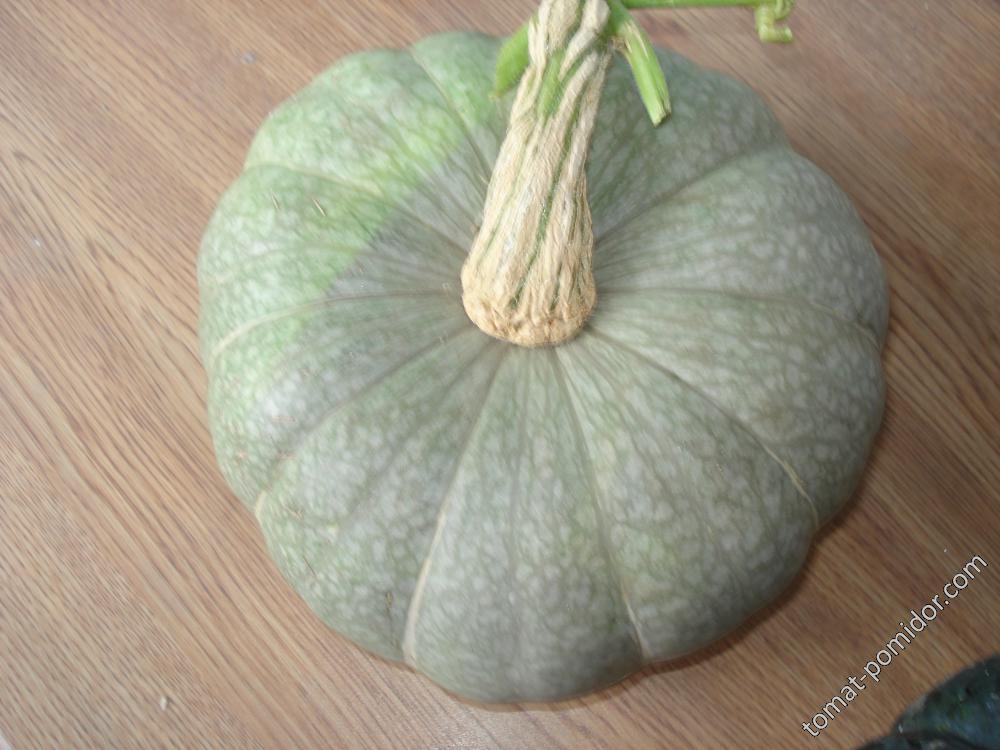 Strawberry Crown Squash