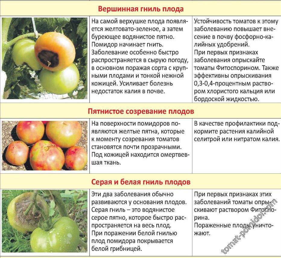 Таблица болезней томатов 2