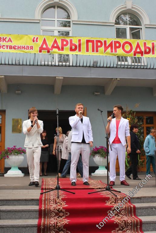 Выставка