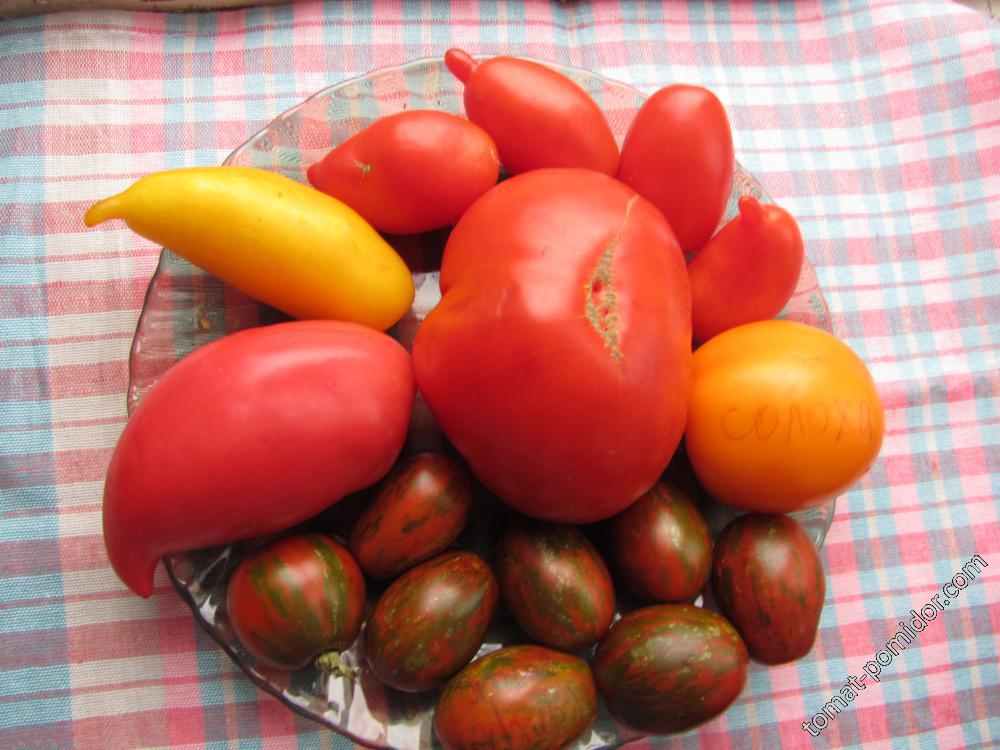 томатики и перцы
