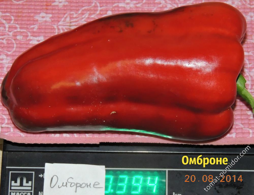 Омброне