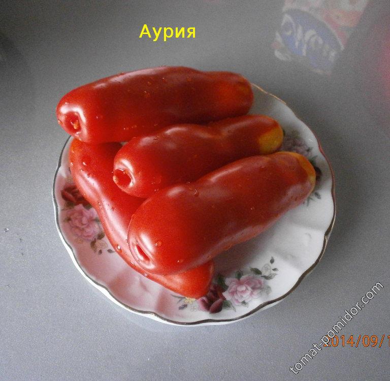 аурия