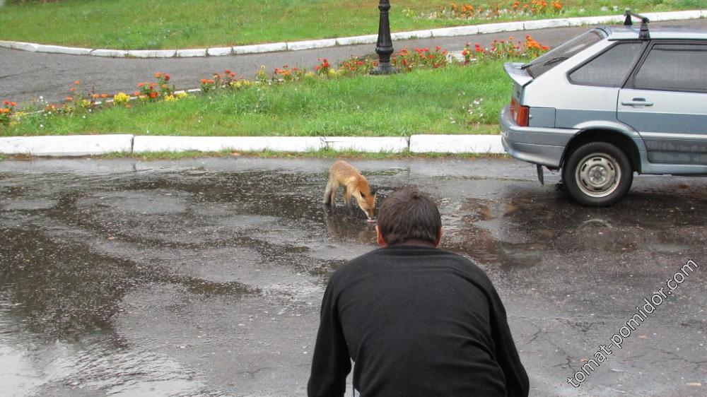 Колбаски дали маловато