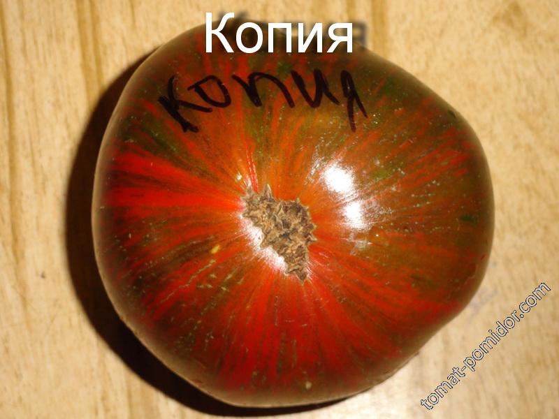 зеленая копия Лидия