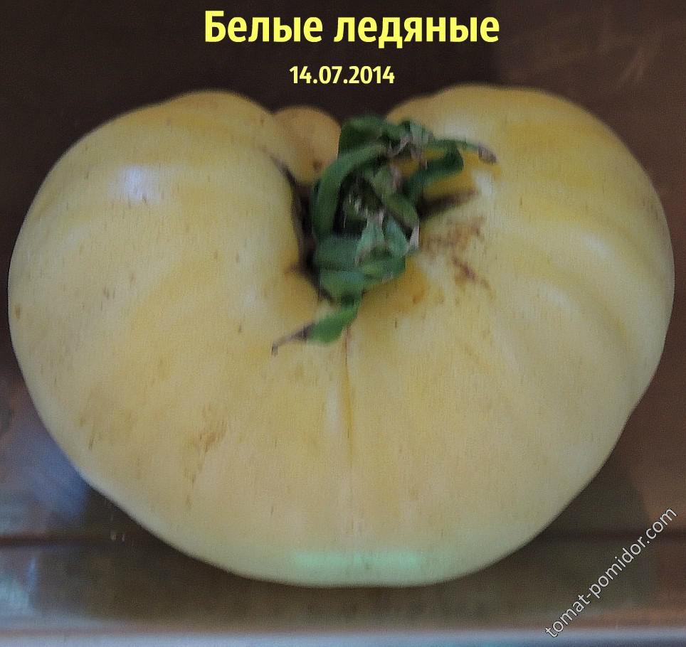 Белые ледяные