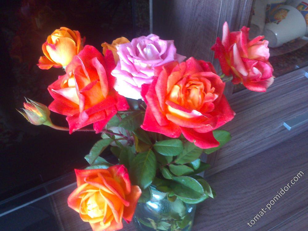 букет сентябрьских роз