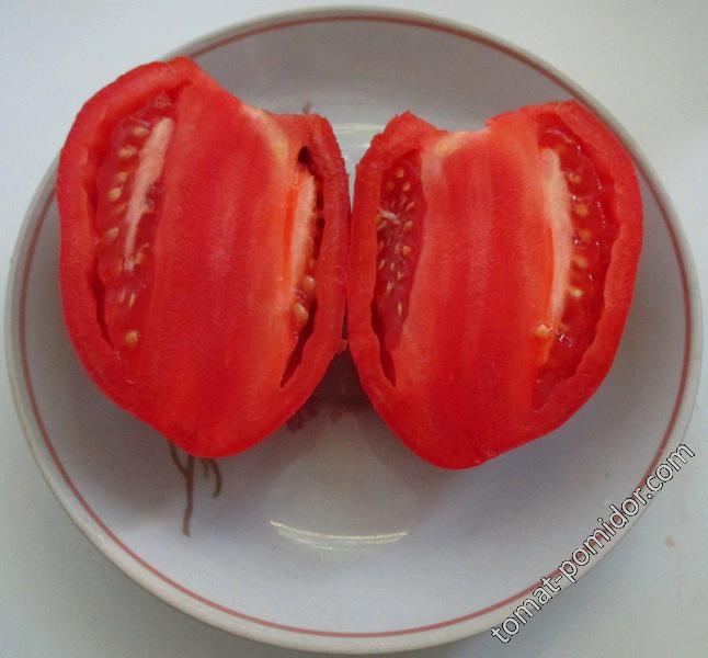 томаты 2014