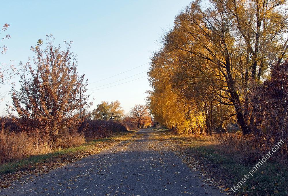 Осень, Белгородская область