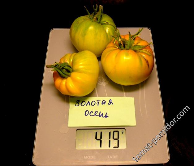 Золотая Осень