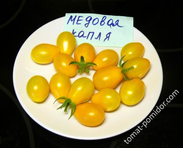 медовая капля