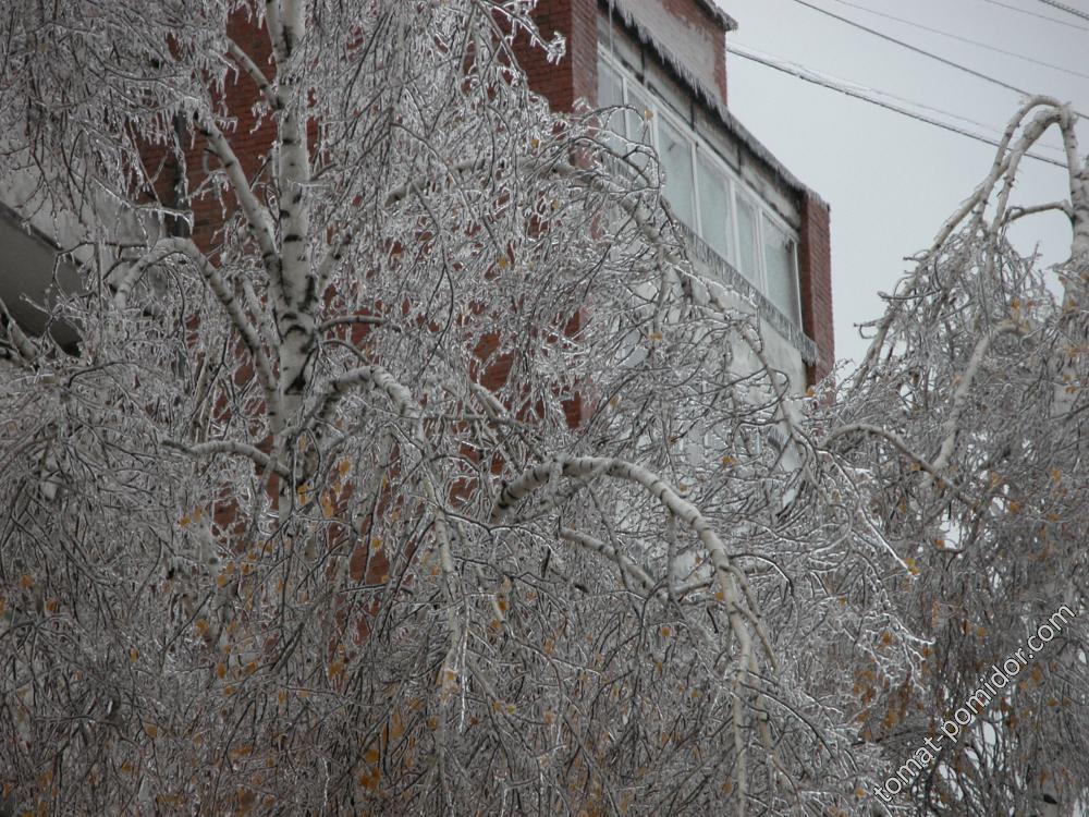 Все вокруг стало хрустальным