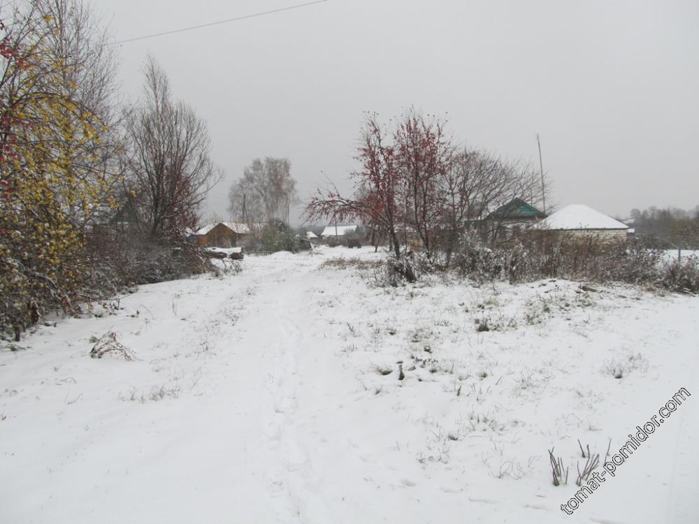Деревня в зиме