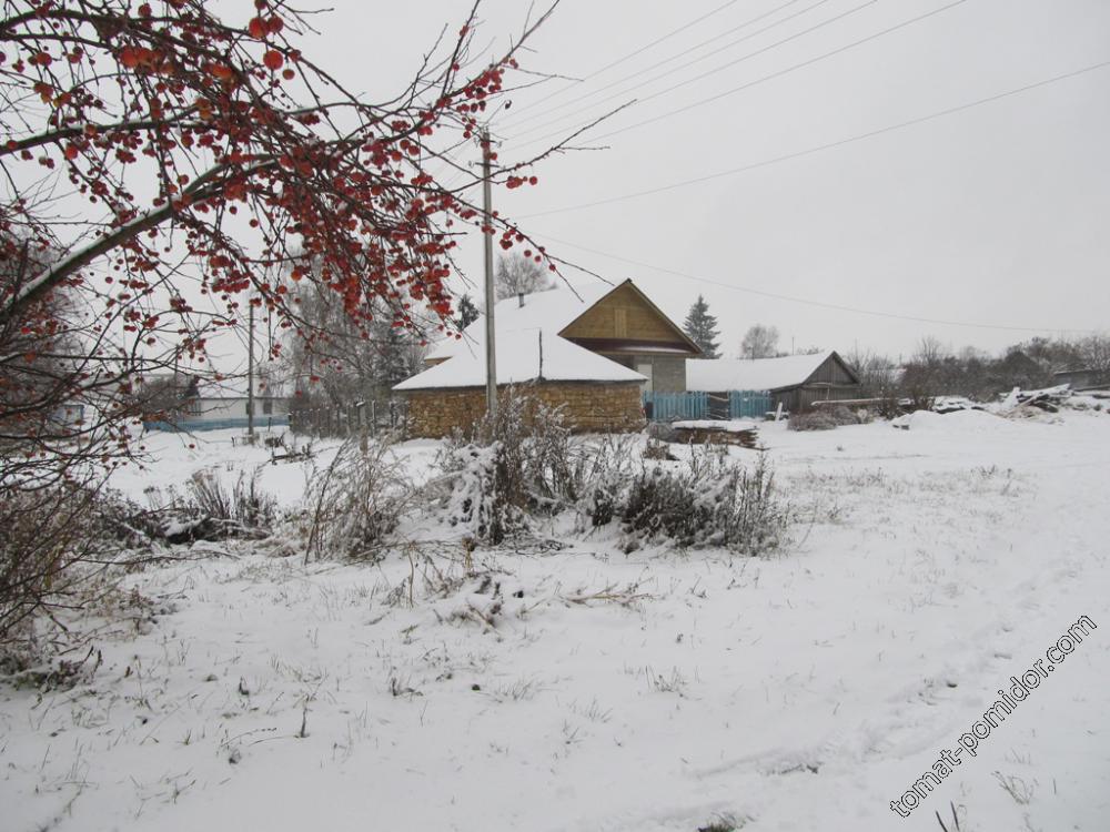 Наш дом сзади