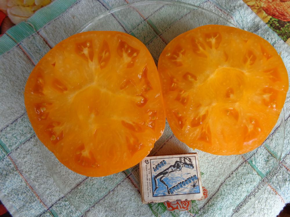 томат Аман оранж
