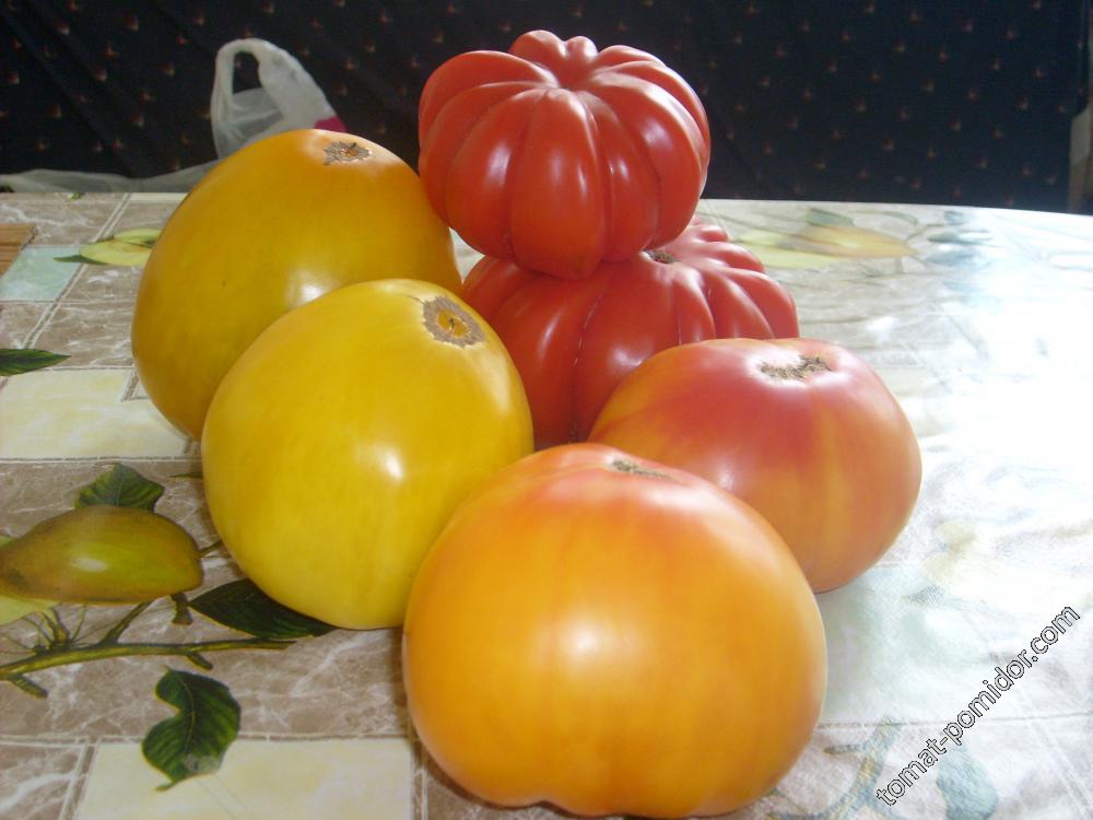 томат с базара, название не знаю, помогите определить