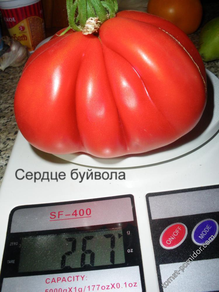 Сердце буйвола