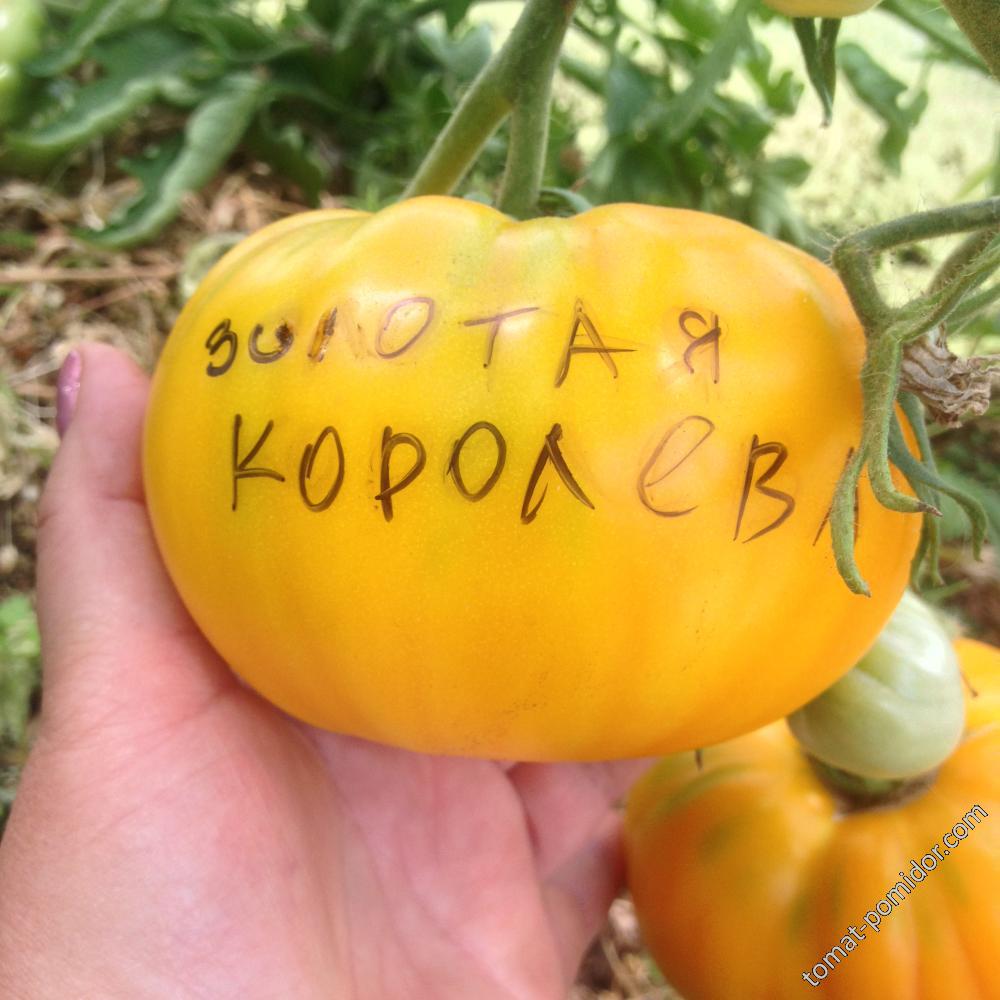 Золотая королева