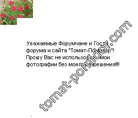 Прошу, пожалуйста, обратите внимание.