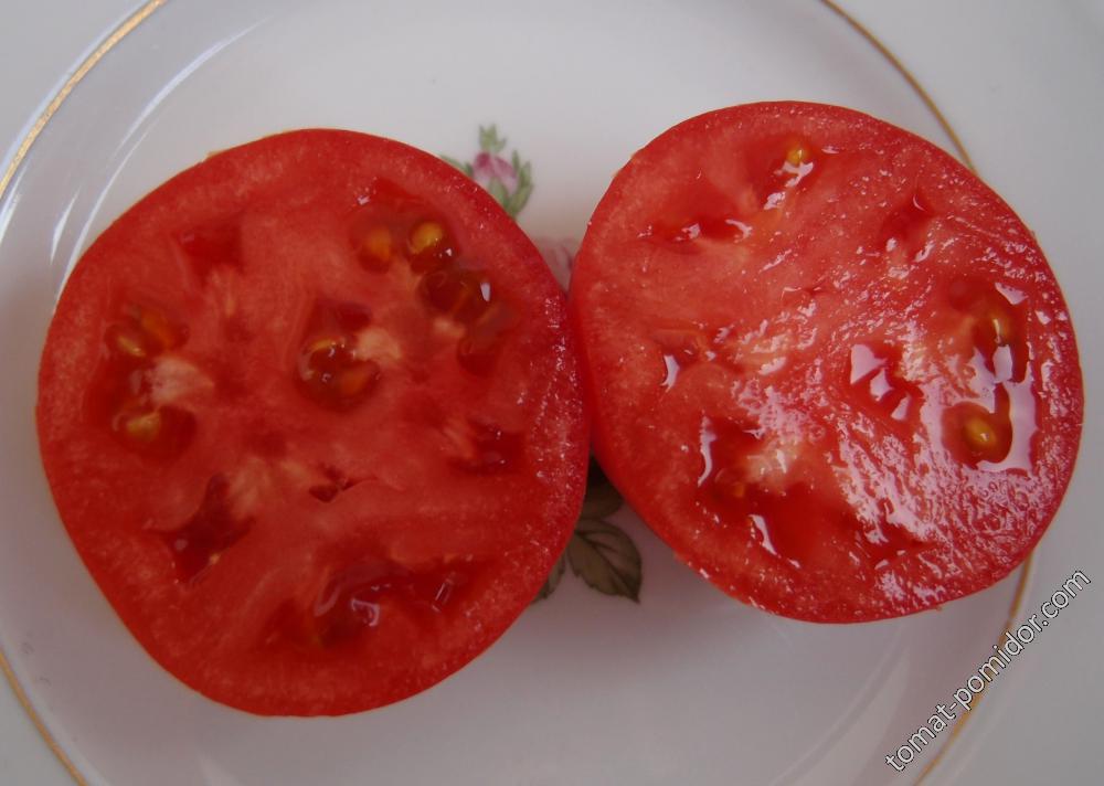 German Tomato, Mr. Tartar's