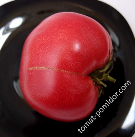 African Vining (Африканская лиана) - a — сорта томатов - tomat-pomidor.com- отзывы на форуме