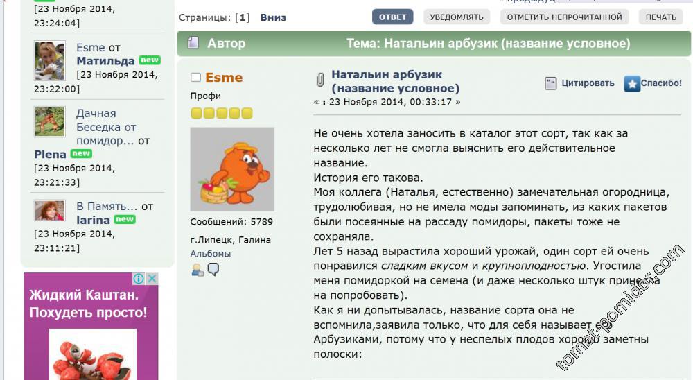 В память о Галине Esme