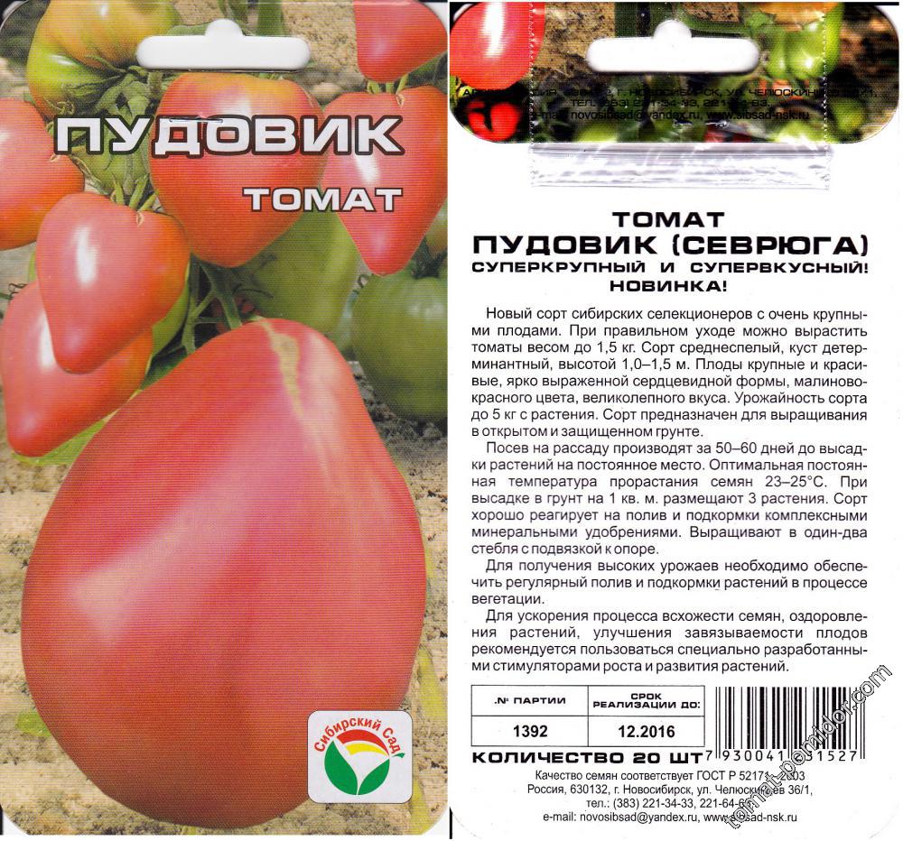 Томат синий отзывы фото урожайность характеристика. Томат Пудовик Сибирский сад. Томат Пудовик севрюга. Томат медовый пудовичок. Томат Пудовик характеристика.