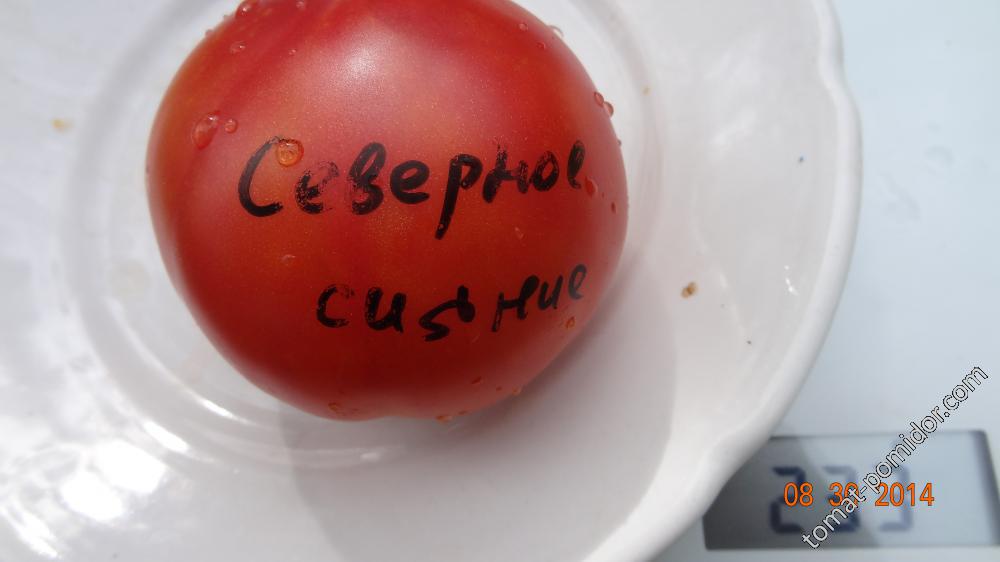 Северное сияние.