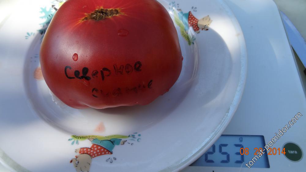 Северное сияние.