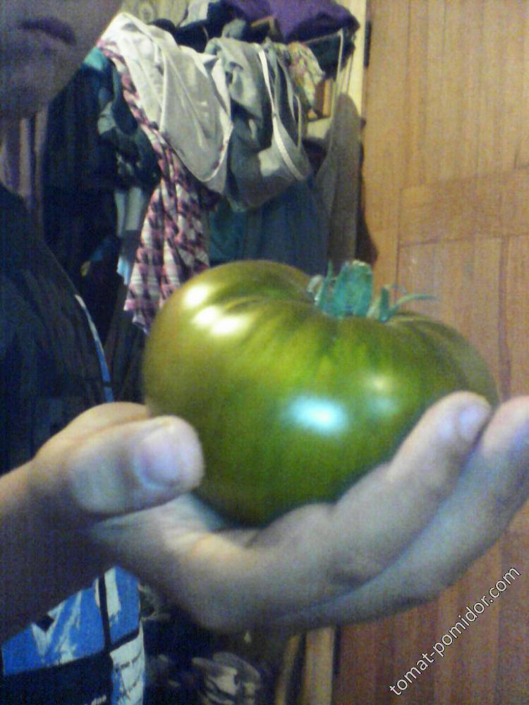 Изумрудное яблоко2