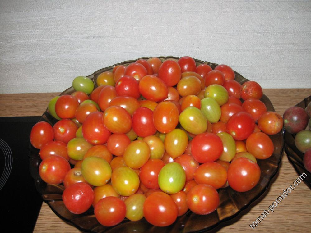 Cherri-Tomate Dolcevita и Черри Ира