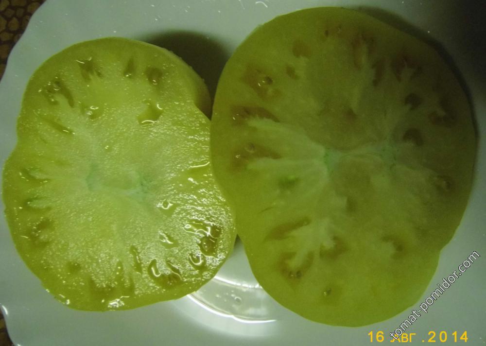 Размер и форма плодов томата