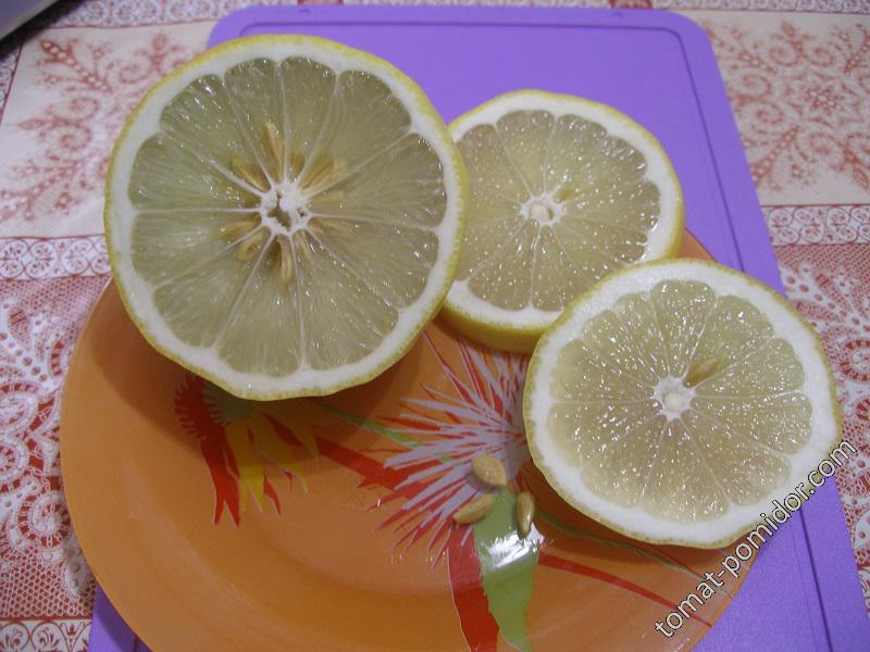 Лимон-цитрон