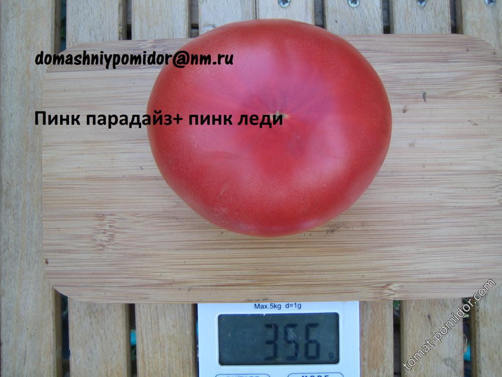 Пинк парадайз+ пинк леди