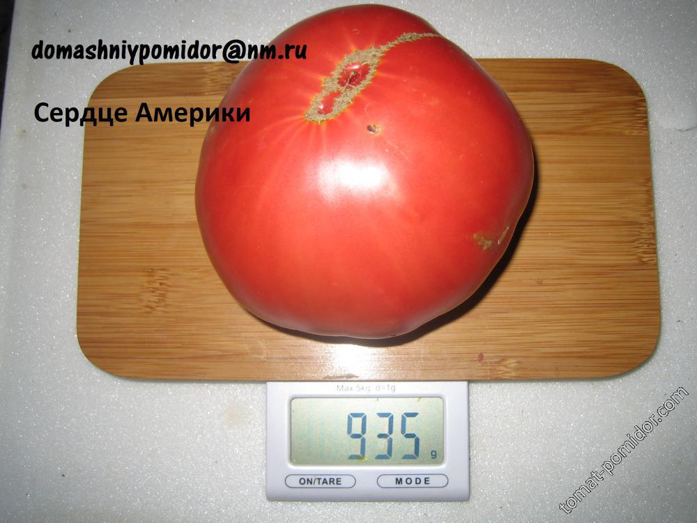 Сердце Америки