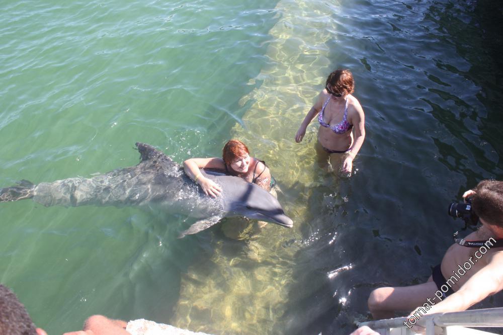 Куба, свидание с дельфинами
