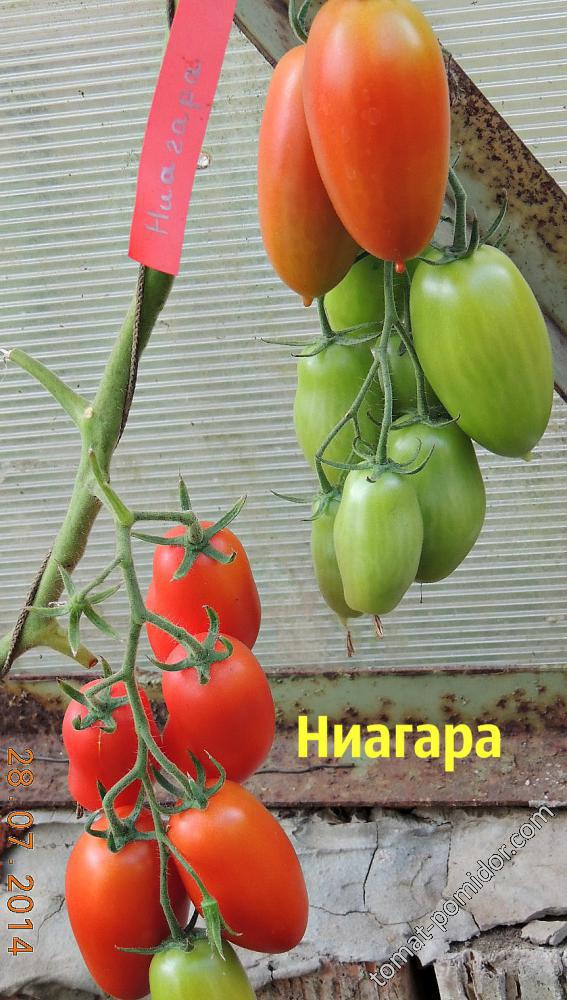 Ниагара