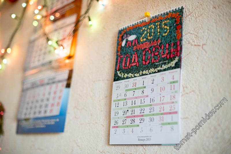 Календарь томатоводов