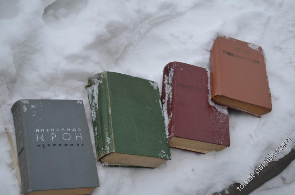 Почистила книжки от снега