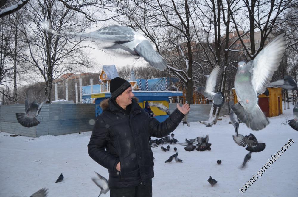 Голуби лев толстой. Лев и голубь. Фотография Андрея Нефедова с голубем.
