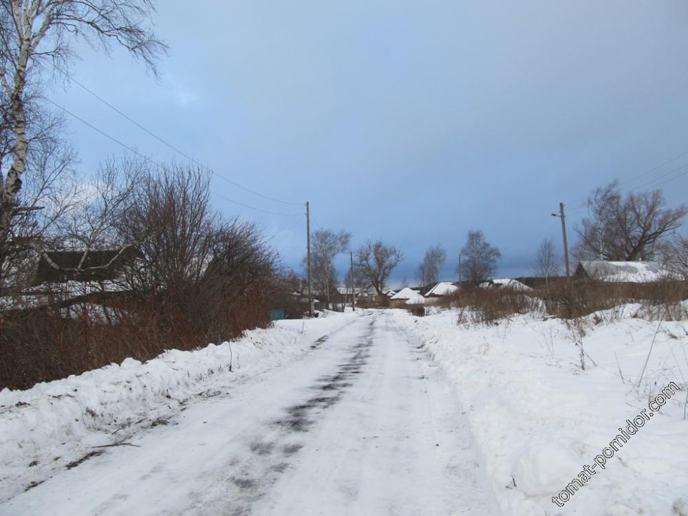 2015 Деревня зимой