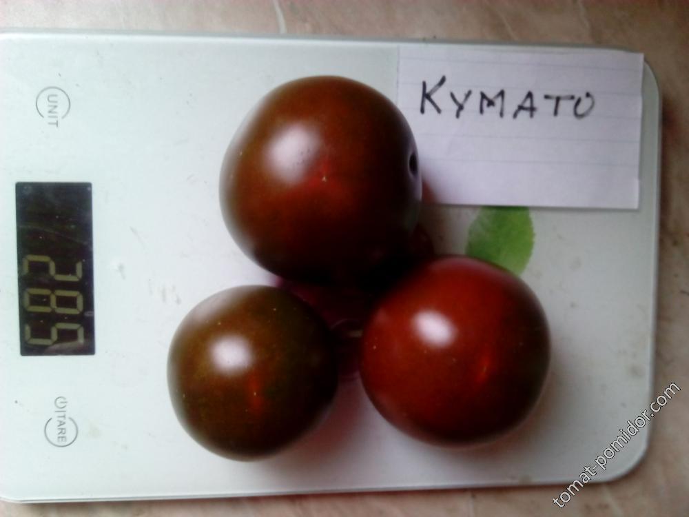 кумато