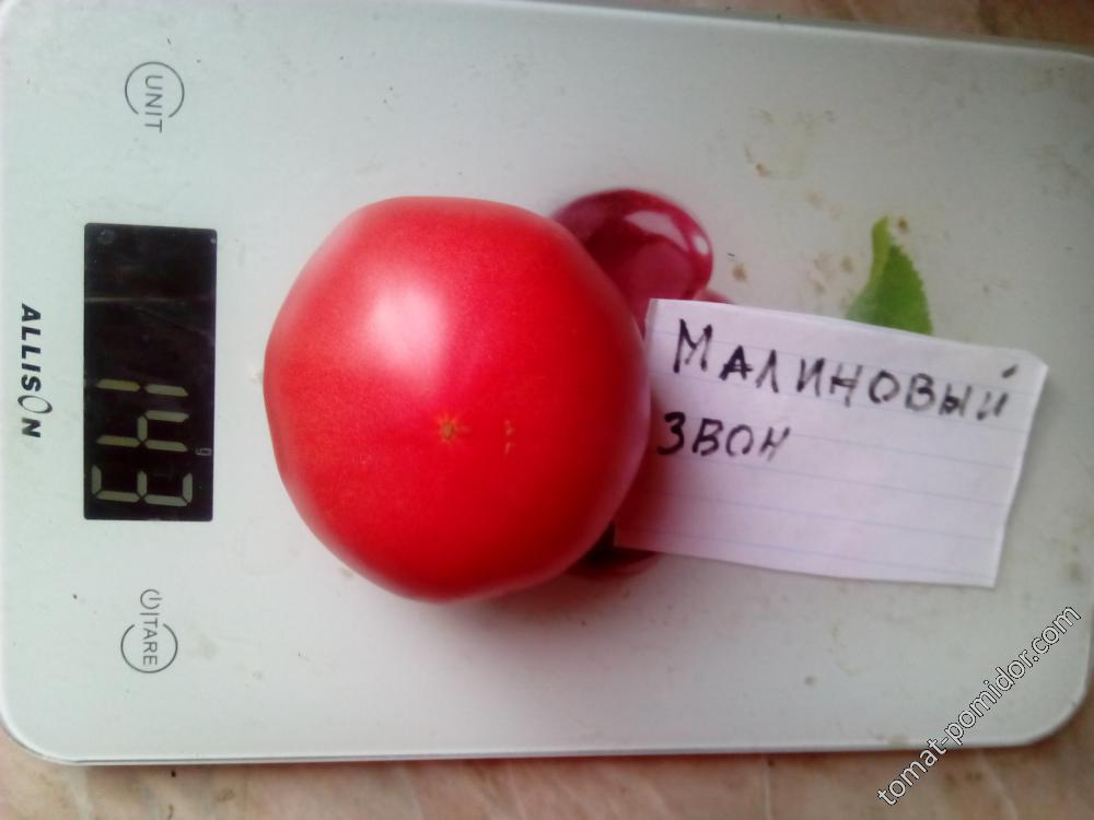 малиновый звон