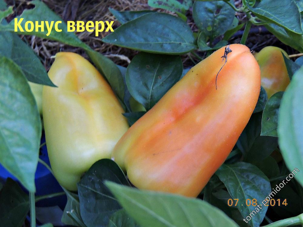 Конус вверх