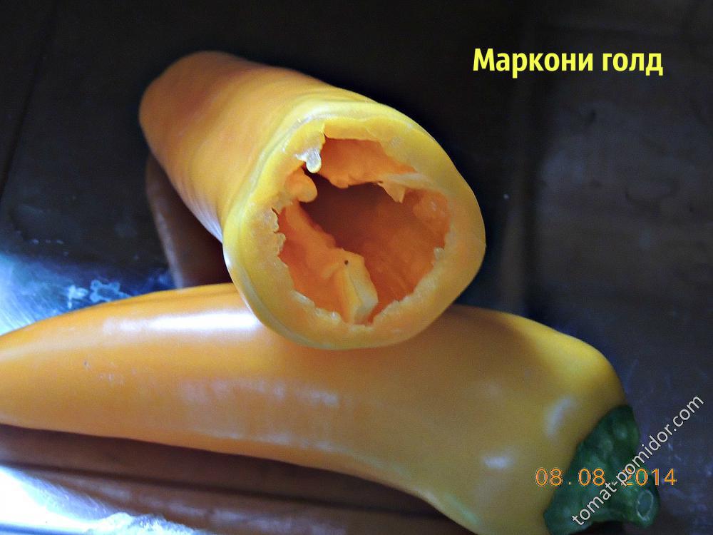 Маркони голд