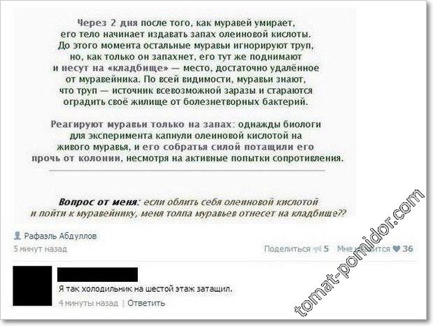 Ох уж эти муравьи....