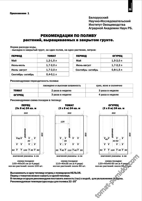 Рекомендации